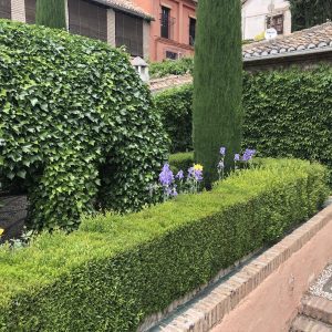 Limpieza de áreas verdes