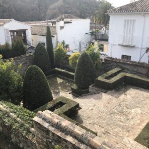 Poda de plantas y árboles