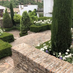 Plantación de árboles, arbustos y flores
